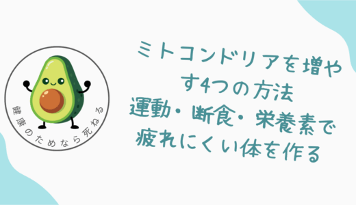 ミトコンドリアを増やす4つの方法｜運動・断食・栄養素で疲れにくい体を作る