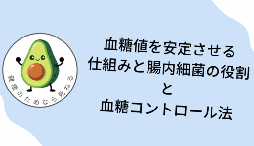 血糖値を安定させるホルモンの仕組みと腸内細菌の役割｜実践的な血糖コントロール法