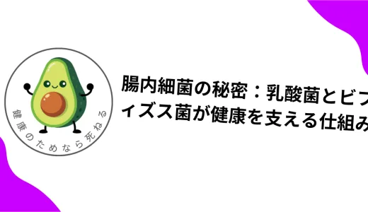 腸内細菌の秘密：乳酸菌とビフィズス菌が健康を支える仕組み